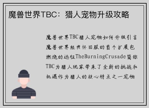 魔兽世界TBC：猎人宠物升级攻略